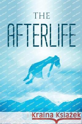 The Afterlife Amelie Fry 9781837615193 Amelie Fry - książka