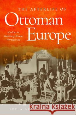 The Afterlife of Ottoman Europe: Muslims in Habsburg Bosnia Herzegovina Leyla Amzi-Erdogdular 9781503645899 Stanford University Press - książka