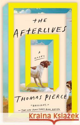 The Afterlives Thomas Pierce 9780399573002 Riverhead Books - książka
