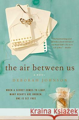 The Air Between Us Deborah Johnson 9780061255588 Amistad Press - książka