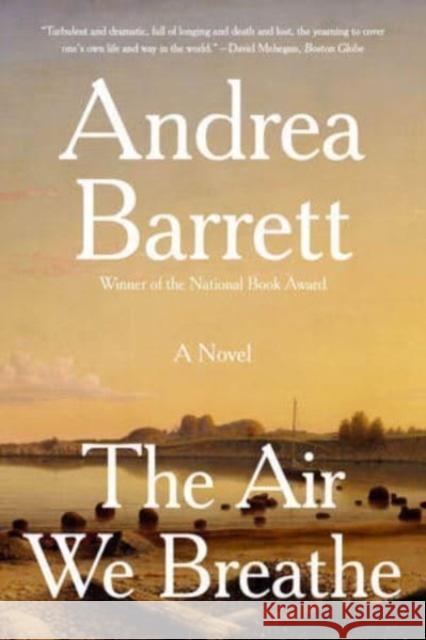 The Air We Breathe - A Novel  9781324065999 W. W. Norton & Company - książka