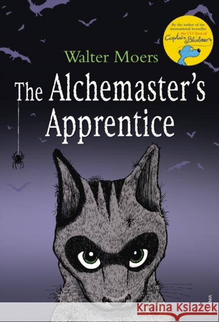 The Alchemaster's Apprentice Walter Moers 9780099526322 Vintage Publishing - książka