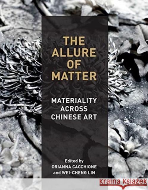 The Allure of Matter: Materiality Across Chinese Art Orianna Cacchione Wei-Cheng Lin 9780935573640 Smart Museum of Art, the University of C - książka