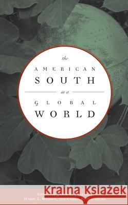 The American South in a Global World James L. Peacock Harry L. Watson Carrie R. Matthews 9780807855898 University of North Carolina Press - książka