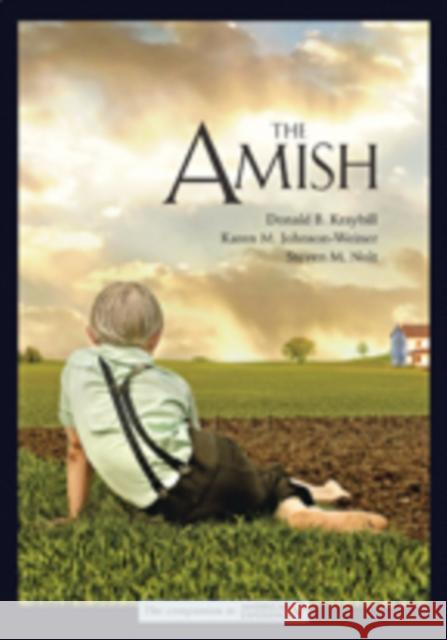 The Amish Donald B. Kraybill Karen M. Johnson-Weiner Steven M. Nolt 9781421425665 Johns Hopkins University Press - książka