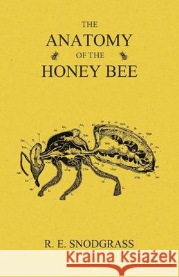 The Anatomy of the Honey Bee R. E. Snodgrass 9781473334236 Read Books - książka