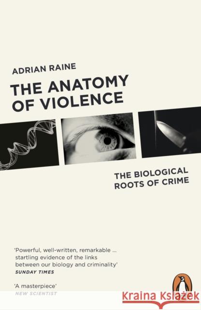 The Anatomy of Violence: The Biological Roots of Crime Adrian Raine 9780141046860 Penguin Books Ltd - książka