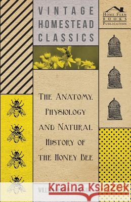 The Anatomy, Physiology and Natural History of the Honey Bee William Herrod-Hempsall 9781447464358 Barclay Press - książka