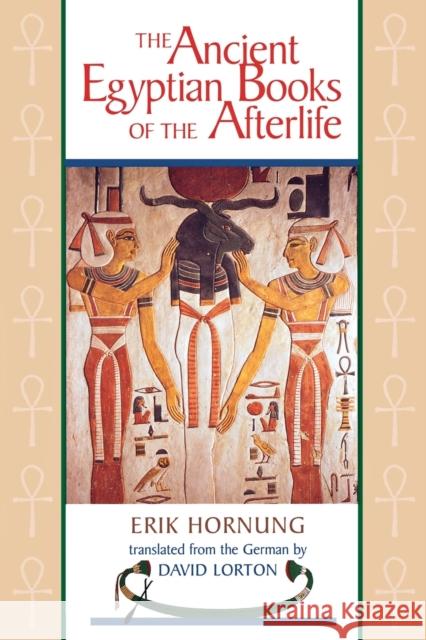 The Ancient Egyptian Books of the Afterlife Erik Hornung David Lorton 9780801485152 Cornell University Press - książka