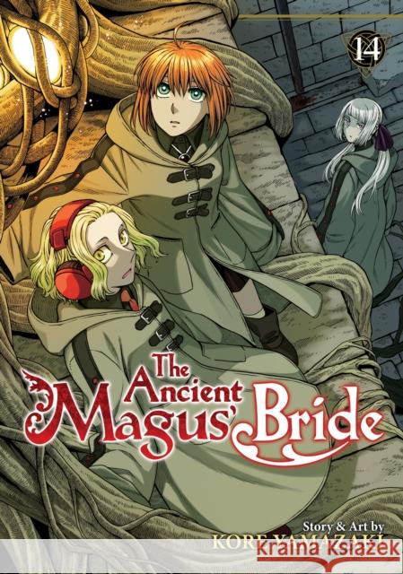 The Ancient Magus' Bride Vol. 14 Kore Yamazaki 9781645058052 Seven Seas - książka