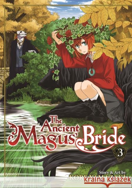 The Ancient Magus' Bride Vol. 3 Kore Yamazaki 9781626922242 Seven Seas - książka