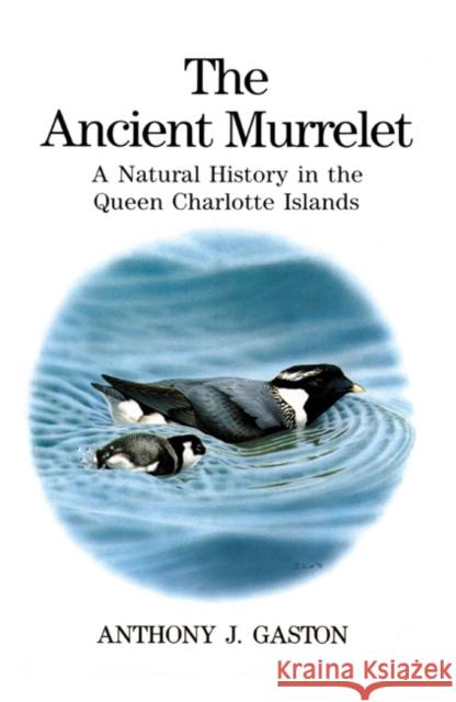 The Ancient Murrelet: A Natural History in the Queen Charlotte Islands Anthony J. Gaston, Ian Jones, Ian Lewington 9781408136720 Bloomsbury Publishing PLC - książka