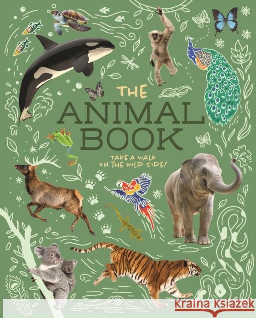 The Animal Book: Take a Walk on the Wild Side! Dr Meriel Lland 9781398835726 Arcturus Publishing Ltd - książka