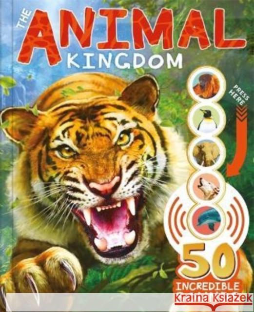 The Animal Kingdom Autumn Publishing 9781800222755 Bonnier Books Ltd - książka