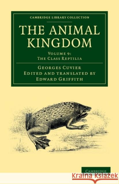 The Animal Kingdom: Arranged in Conformity with Its Organization Cuvier, Georges 9781108049627 Cambridge University Press - książka