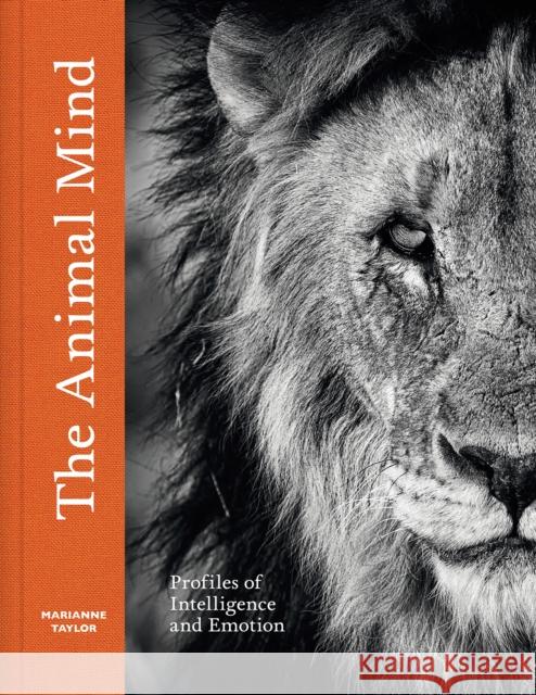 The Animal Mind: Profiles of Intelligence and Emotion Marianne Taylor 9781419768491 Abrams - książka