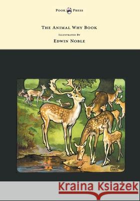 The Animal Why Book - Pictures by Edwin Noble W. P. Pycraft Edwin Noble 9781473307223 Pook Press - książka