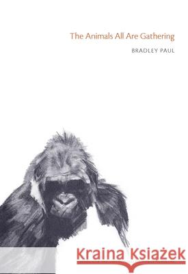The Animals All Are Gathering Paul, Bradley 9780822961215 University of Pittsburgh Press - książka