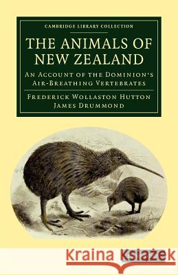 The Animals of New Zealand: An Account of the Dominion's Air-Breathing Vertebrates Frederick Wollaston Hutton, James Drummond 9781108040020 Cambridge University Press - książka