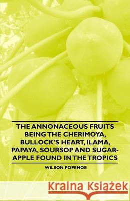 The Annonaceous Fruits Being the Cherimoya, Bullock's Heart, Ilama, Papaya, Soursop and Sugar-Apple Found in the Tropics Wilson Popenoe 9781446537978 Goldstein Press - książka