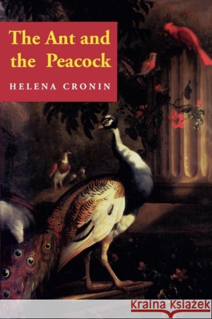 The Ant and the Peacock: Altruism and Sexual Selection from Darwin to Today Cronin, Helena 9780521457651 Cambridge University Press - książka