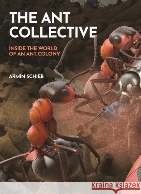 The Ant Collective: Inside the World of an Ant Colony Armin Schieb 9780691255927 Princeton University Press - książka