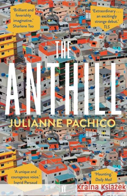 The Anthill Julianne Pachico 9780571331499 Faber & Faber - książka