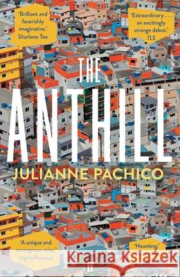 The Anthill Julianne Pachico 9780571331499 Faber & Faber - książka