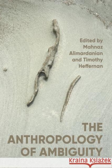 The Anthropology of Ambiguity  9781526173843 Manchester University Press - książka