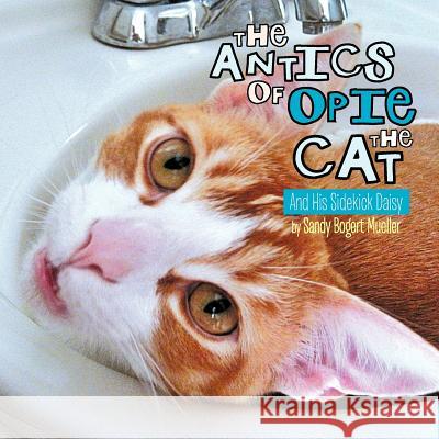 The Antics of Opie the Cat: And His Sidekick Daisy Mueller, Sandy Bogert 9781477157329 Xlibris Corporation - książka