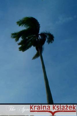 The Apocalypse Of St John Corathiel, Elizabethe 9781466383425 Createspace - książka