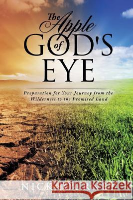 The Apple of God's Eye Nick Journey 9781628397239 Xulon Press - książka