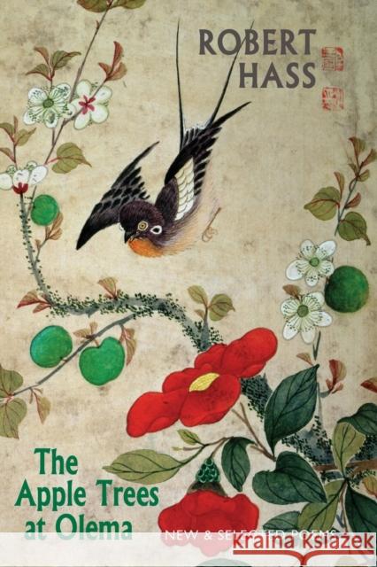 The Apple Trees at Olema: New & Selected Poems Robert Hass 9781852248970  - książka