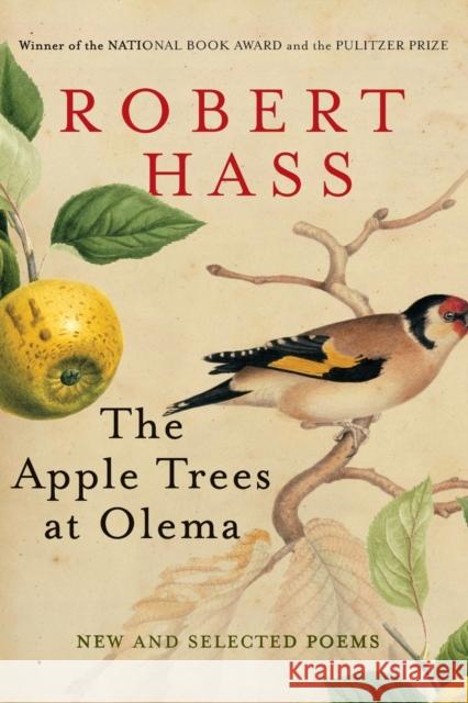 The Apple Trees at Olema: New and Selected Poems Robert Hass 9780061923906 Ecco - książka