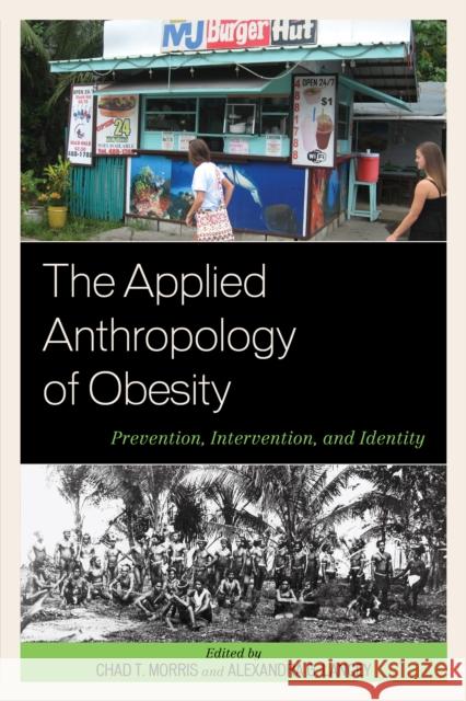 The Applied Anthropology of Obesity: Prevention, Intervention, and Identity Chad T. Morris Alexandra G. Lancey Moya L. Alfonso 9781498512633 Lexington Books - książka