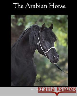 The Arabian Horse Doreen Haggard 9781467975131 Createspace - książka