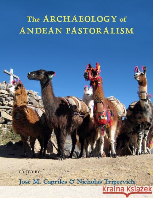 The Archaeology of Andean Pastoralism Jose M. Capriles Nicholas Tripcevich 9780826357021 University of New Mexico Press - książka