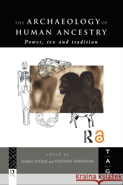 The Archaeology of Human Ancestry: Power, Sex and Tradition Shennan, Stephen 9780415642941 Routledge - książka