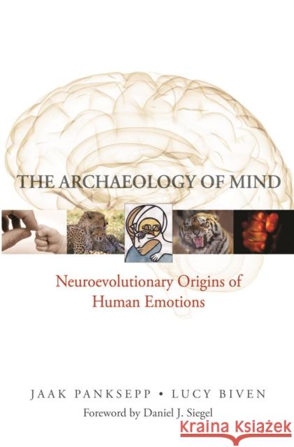 The Archaeology of Mind: Neuroevolutionary Origins of Human Emotions Panksepp, Jaak 9780393705317  - książka