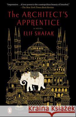 The Architect's Apprentice Elif Shafak 9780143108306 Penguin Books - książka