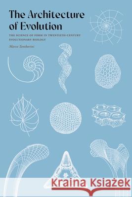 The Architecture of Evolution: The Science of Form in Twentieth-Century Evolutionary Biology Marco Tamborini 9780822947356 University of Pittsburgh Press - książka