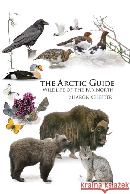 The Arctic Guide: Wildlife of the Far North Chester, Sharon 9780691139753 Princeton University Press - książka