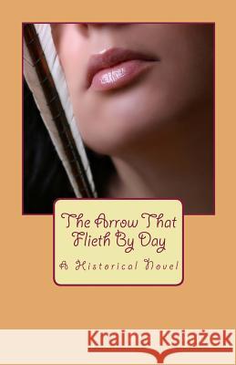 The Arrow That Flieth by Day Erin Rainwater 9781484993309 Createspace - książka