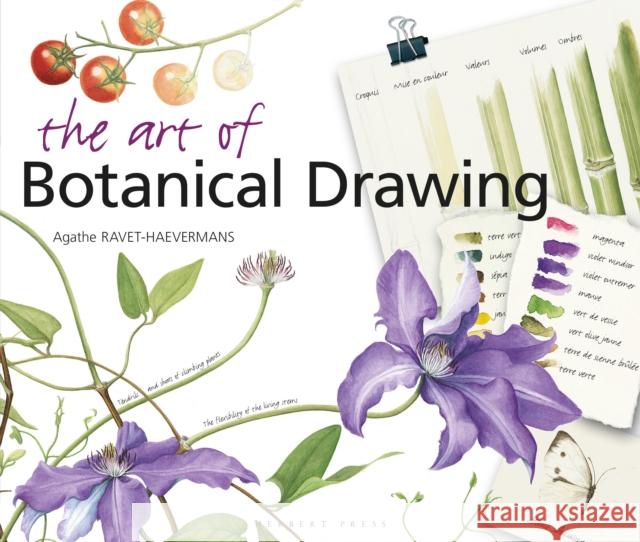The Art of Botanical Drawing Agathe Ravet-Haevermans 9781912217861 Herbert Press - książka