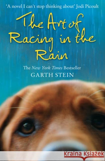 The Art of Racing in the Rain Garth Stein 9780007281190 HarperCollins Publishers - książka