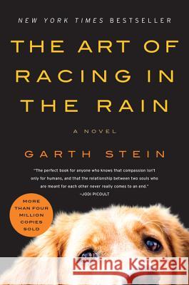 The Art of Racing in the Rain Garth Stein 9780061537967 Harper Paperbacks - książka