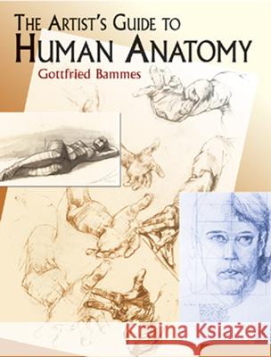 The Artist's Guide to Human Anatomy Gottfried Bammes 9780486436418 Dover Publications Inc. - książka