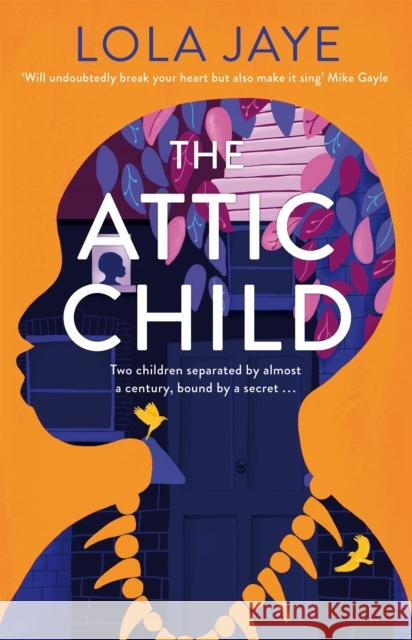 The Attic Child Lola Jaye 9781529064575 Pan Macmillan - książka