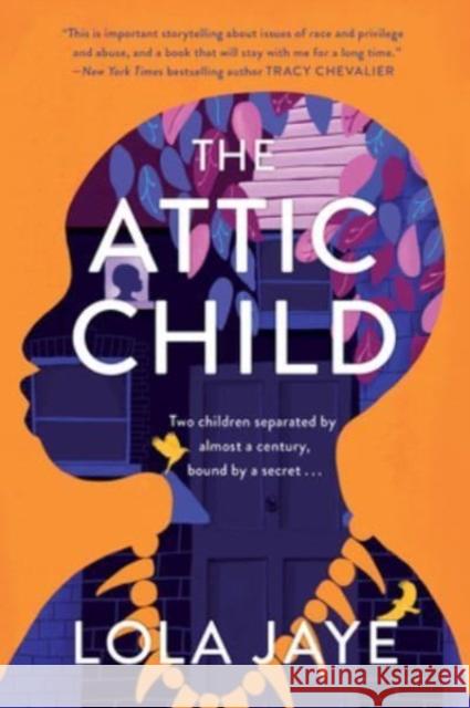 The Attic Child: A Novel Lola Jaye 9780063260382 HarperCollins - książka