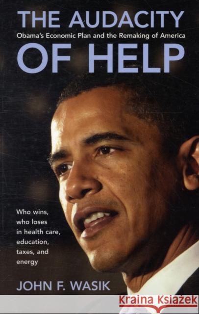 THE AUDACITY OF HELP John F. Wasik 9781576603567 Bloomberg Press - książka